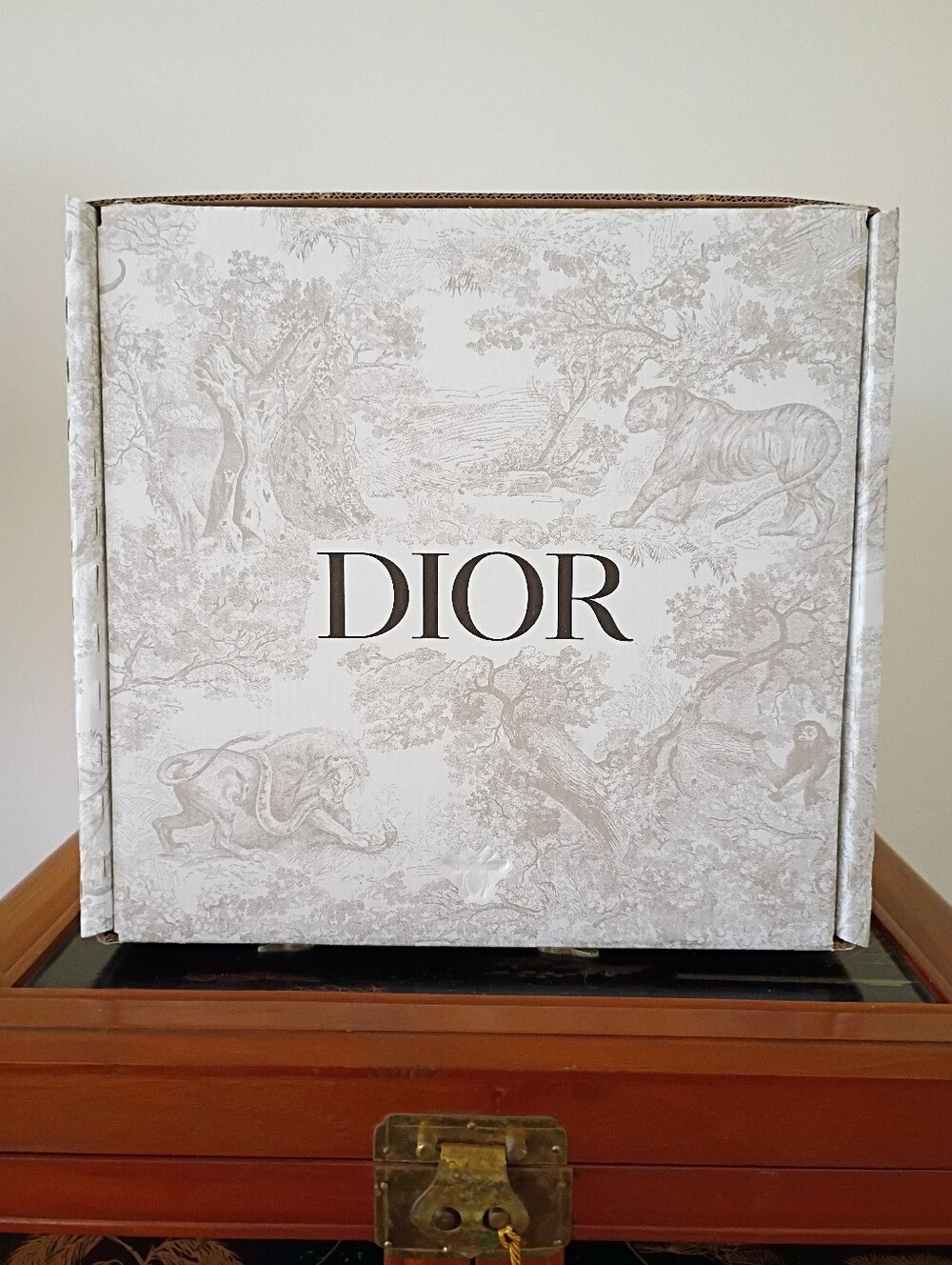 DIOR Toile De Jouy Sauvage Cardboard Box